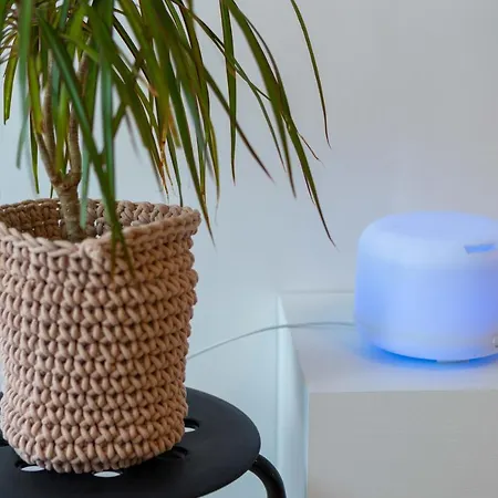 Apartment Miranda's Place