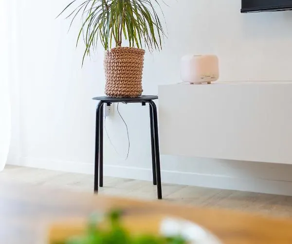 Miranda's Place Split